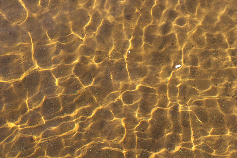 Саратовский министр опустился на дно Волги в поисках мусора