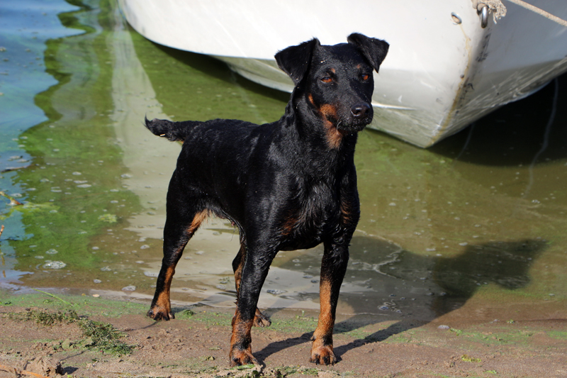 Саратовский министр опустился на дно Волги в поисках мусора