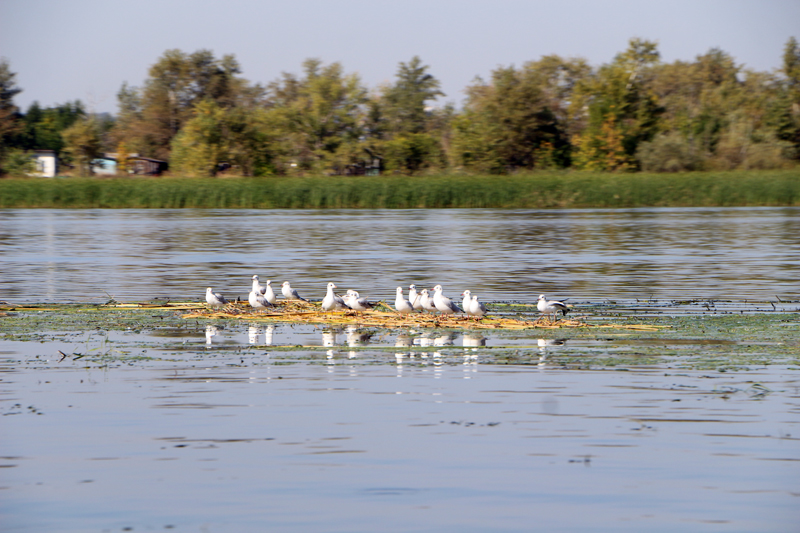 Саратовский министр опустился на дно Волги в поисках мусора
