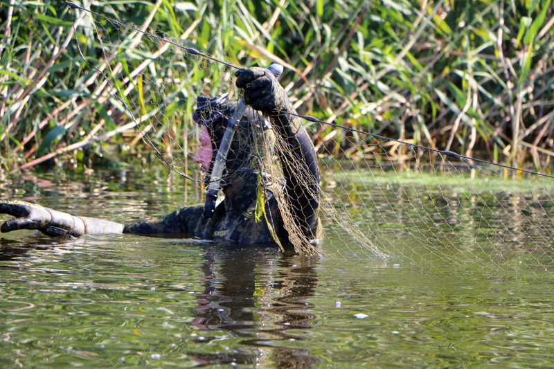 Саратовский министр опустился на дно Волги в поисках мусора