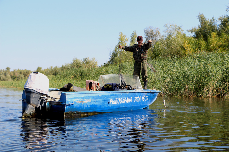 Саратовский министр опустился на дно Волги в поисках мусора