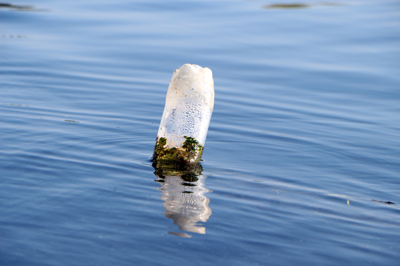 Саратовский министр опустился на дно Волги в поисках мусора