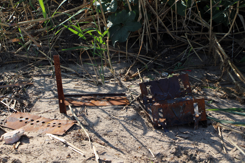 Саратовский министр опустился на дно Волги в поисках мусора