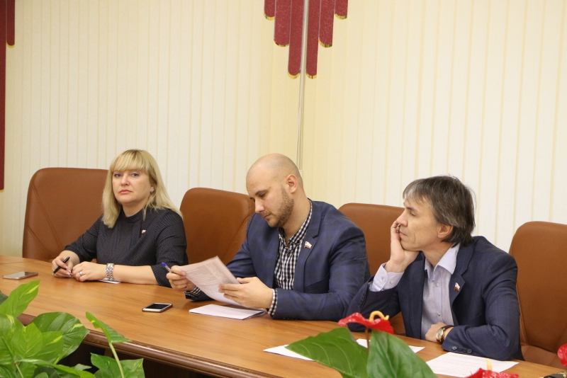 Саратовские общественники уговорили депутатов оставить Шелеста в списке кандидатур в ОПу