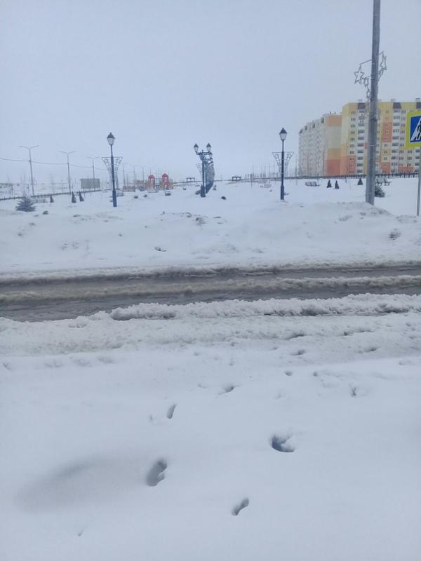 Бульвар Героев Отечества стал непроходим для пешеходов