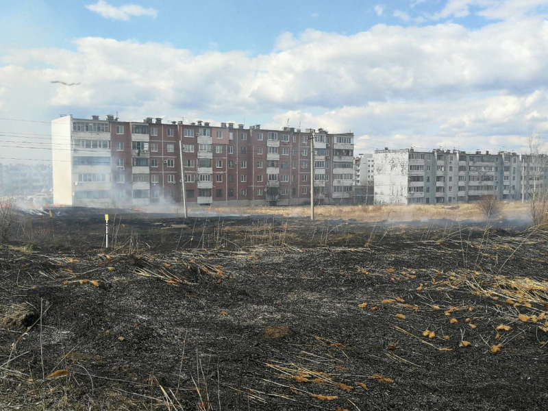 На окраине Саратова горит трава. Огонь приближается к домам