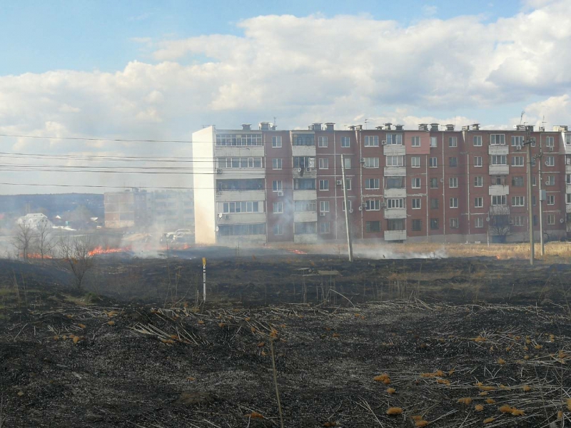 На окраине Саратова горит трава. Огонь приближается к домам