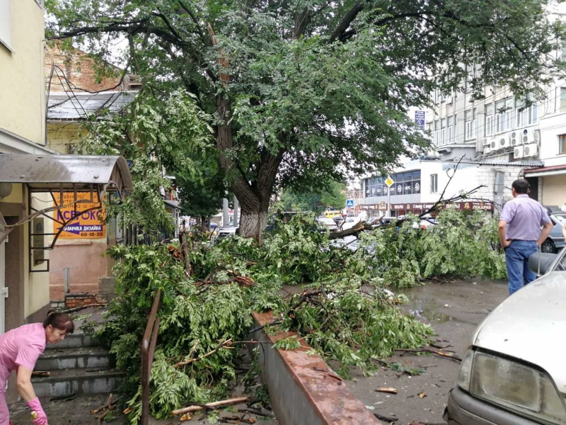 Упавшее дерево перекрыло движение по улице Кутякова