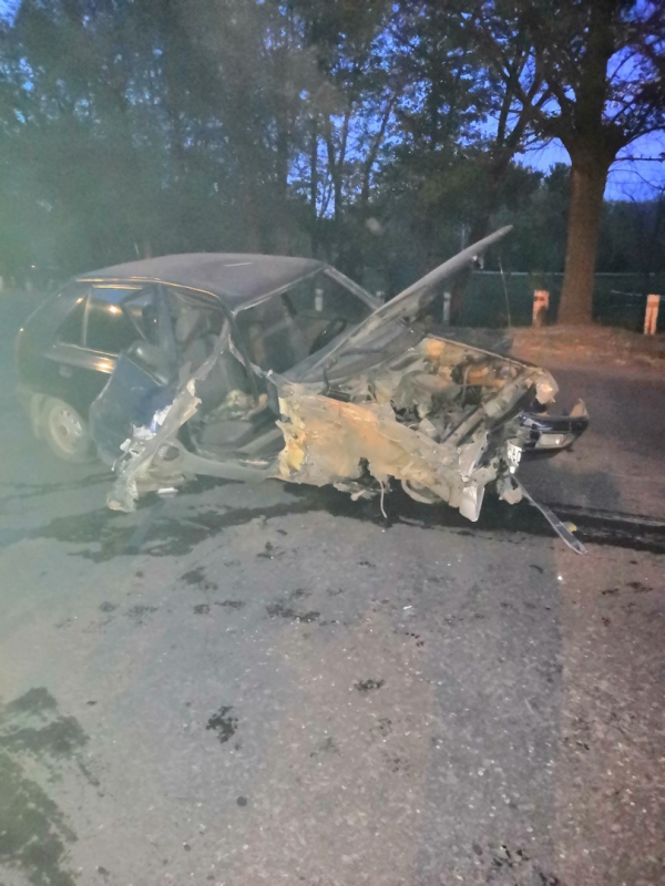 В сумерках женщина на «Шкоде» врезалась в дерево