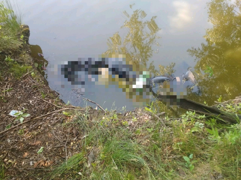 Беспокойная собака привела прохожую к утонувшему хозяину