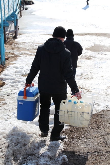 Росприроднадзор и ЦЛАТИ взяли пробы воды в Волге