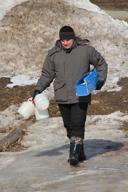 Росприроднадзор и ЦЛАТИ взяли пробы воды в Волге