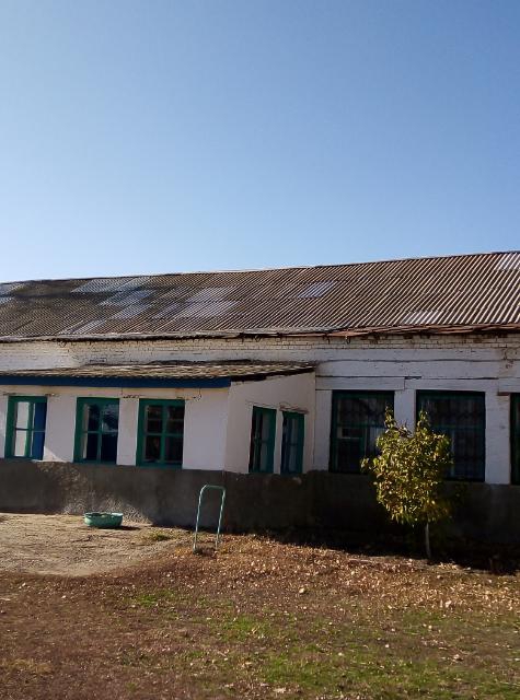 Школу в Новоузенске сравнили с помещением для скота