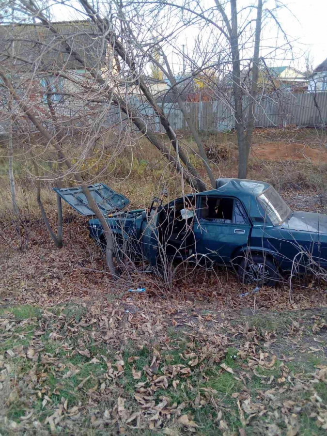Мать и двое детей пострадали при столкновении «ВАЗа» с деревом