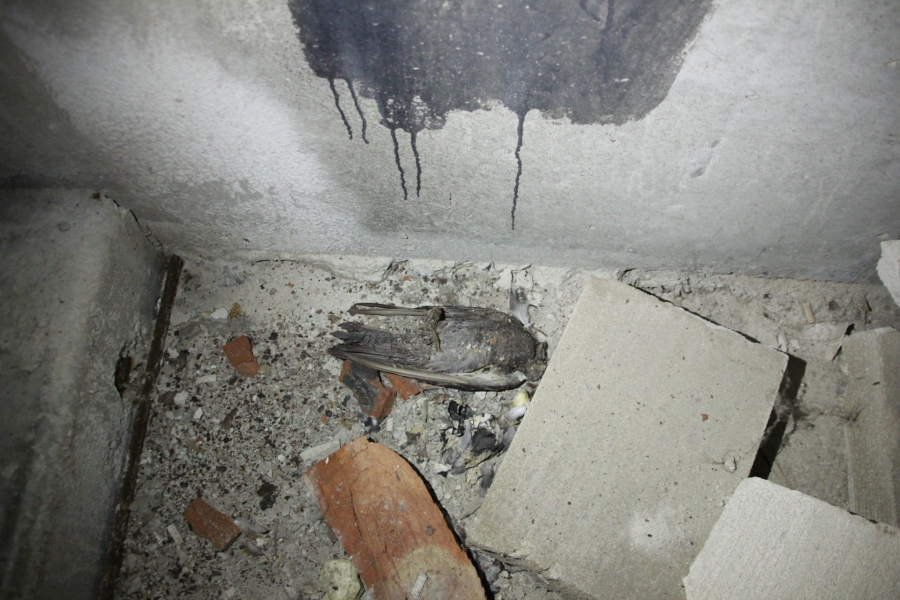 Долгострой в Улешах не огородили даже после падения девушки в шахту лифта