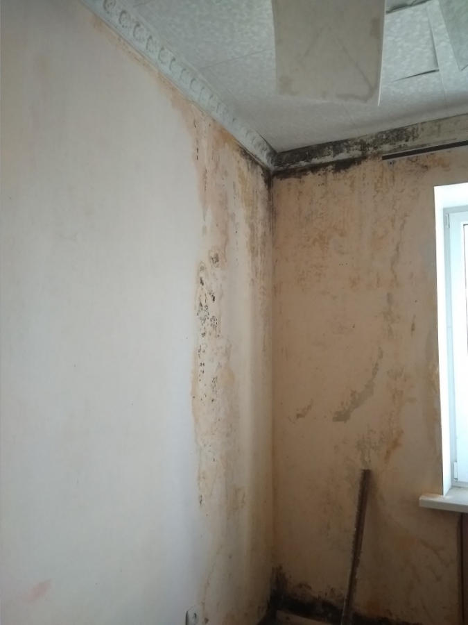 Жители дома на Огородной жалуются на разруху в подъезде и протекающую крышу