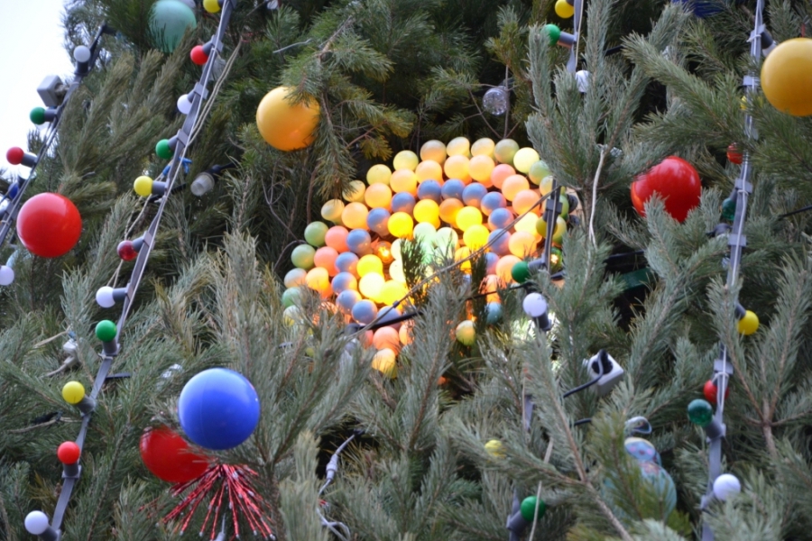 На Театральной площади зажглась главная елка