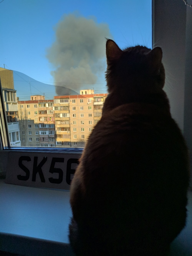 В Солнечном рядом с домами загорелись трава и камыш