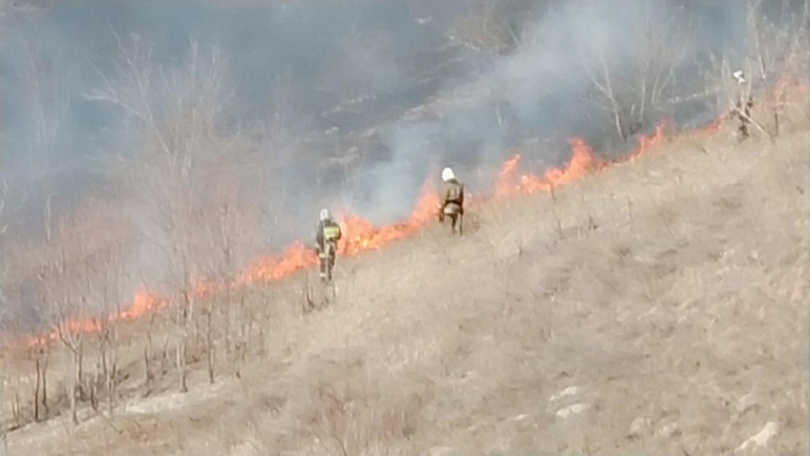 В Октябрьском ущелье загорелась часть Кумысной поляны