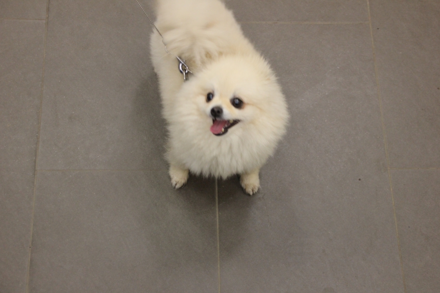 Полицейский рейд: Саратовцы носят маски, но не верят в них