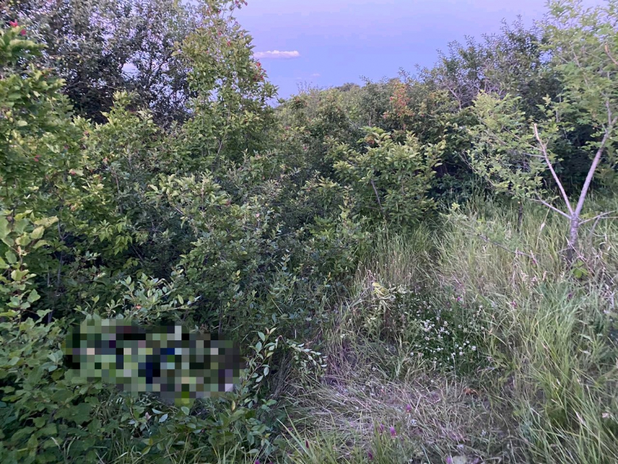 В Волжском районе во время фотосессии нашли спрятанный труп мужчины