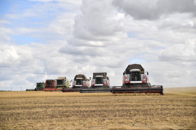 В Саратовской области намолотили 5 млн тонн зерна