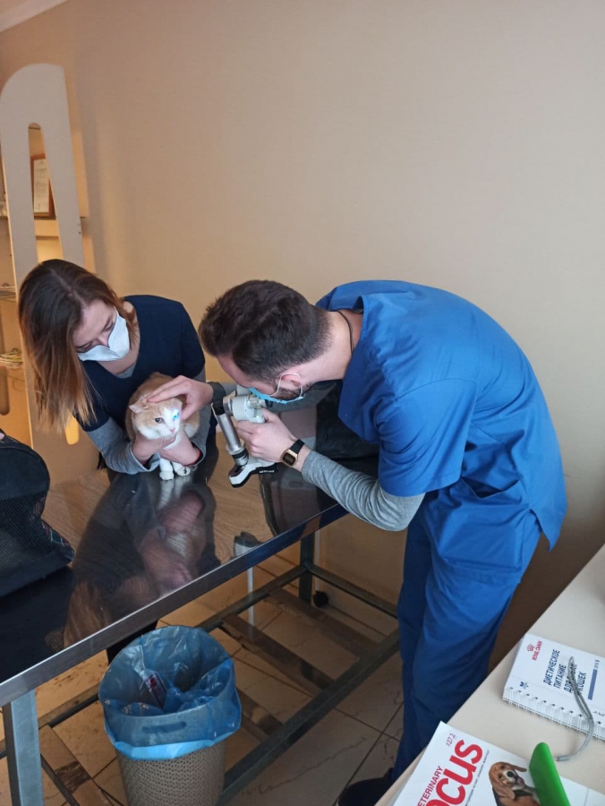 В Саратове прошла благотворительная акция «Лучшая защита питомца – консультация с врачом»