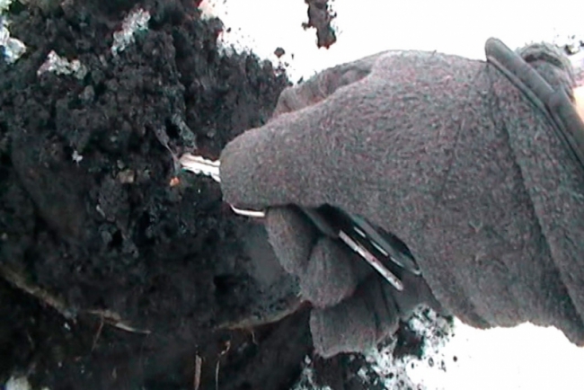 На берегу Волги в Саратове обнаружена свалка нефтяных отходов