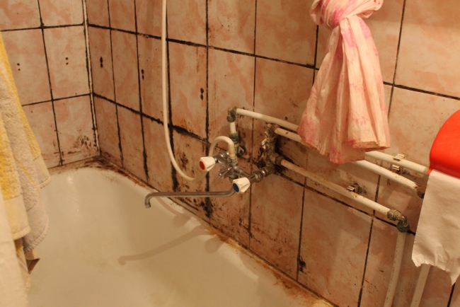 Многодетная мать хочет вернуть Медведеву медаль родительской славы