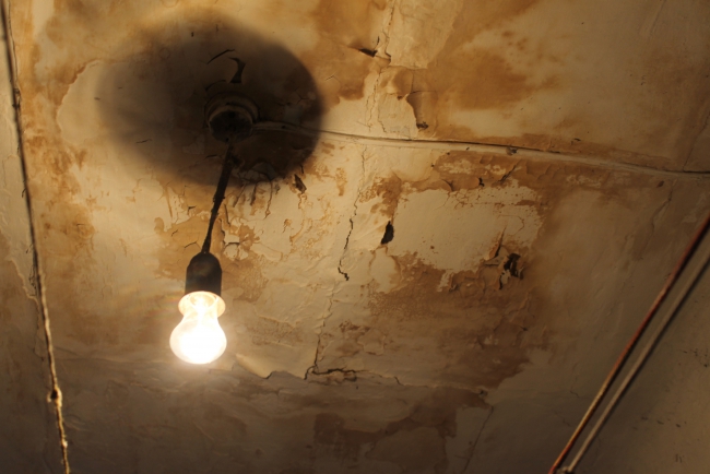 Многодетная мать хочет вернуть Медведеву медаль родительской славы