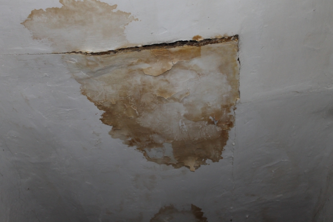 Многодетная мать хочет вернуть Медведеву медаль родительской славы