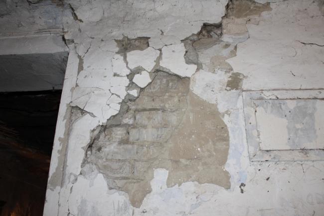 Многодетная мать хочет вернуть Медведеву медаль родительской славы