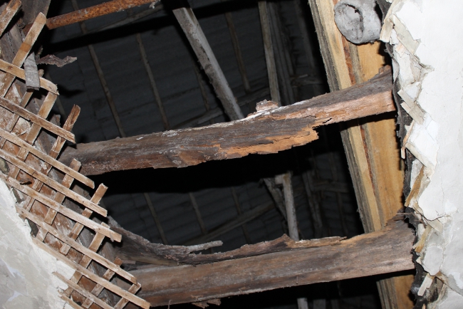 Многодетная мать хочет вернуть Медведеву медаль родительской славы