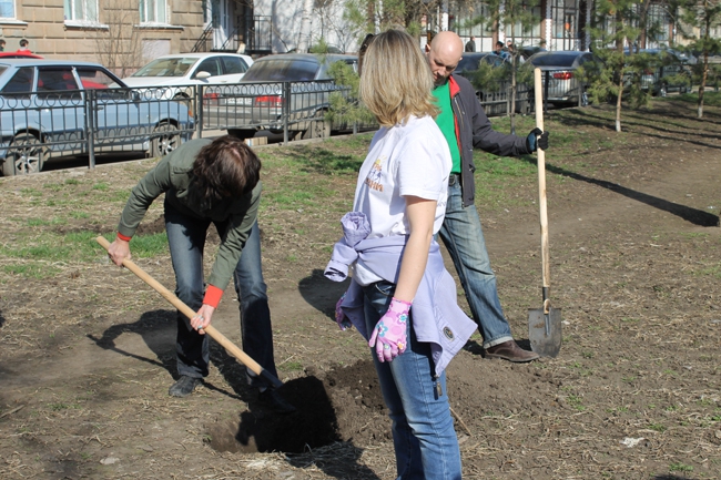 На «Аллее роз» высадили сосны, сирень и рябину