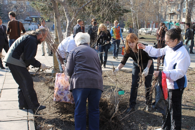 На «Аллее роз» высадили сосны, сирень и рябину