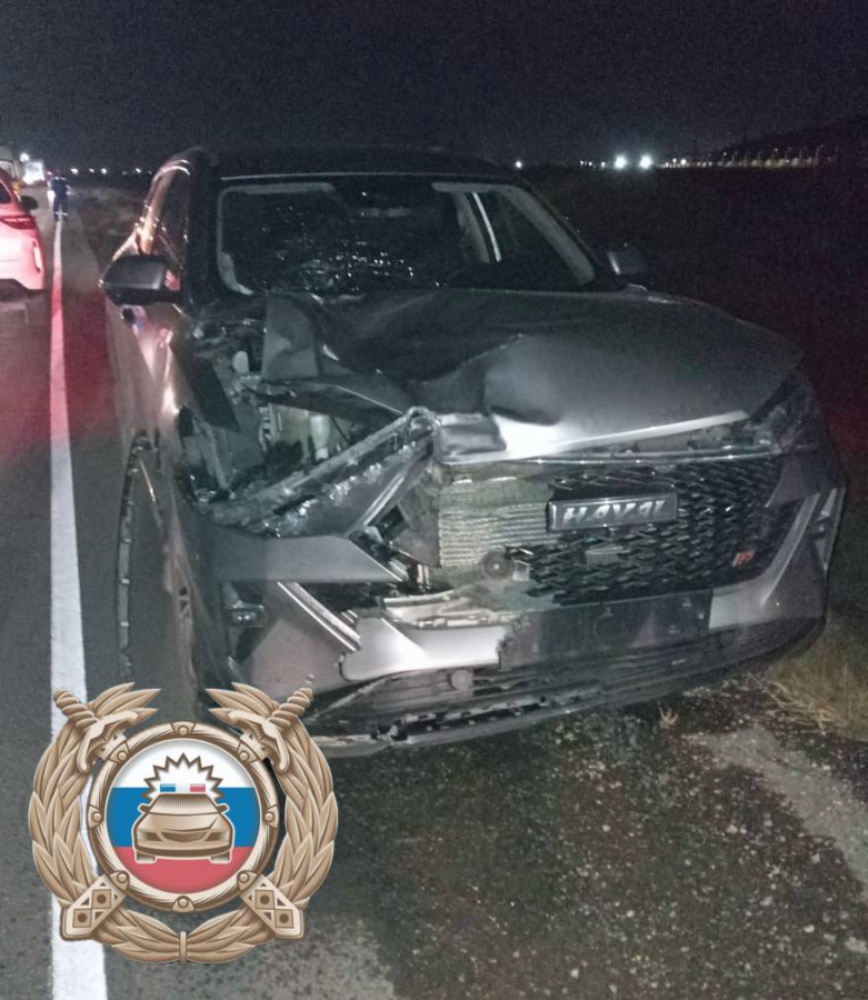 Под Балаковом водитель кроссовера сбил насмерть мужчину