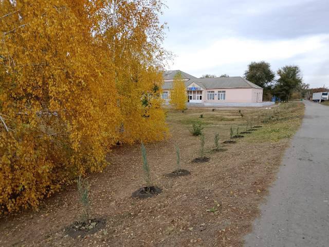 В селе Вольского района обустроили новый сквер по инициативе местных жителей