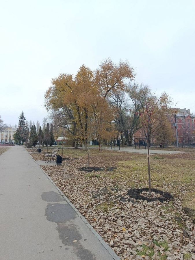 В Заводском районе отремонтируют сквер «Дружбы народов»