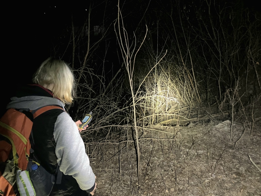 Более 70 человек ищут пропавшего на Кумысной поляне Виктора Пипунырова