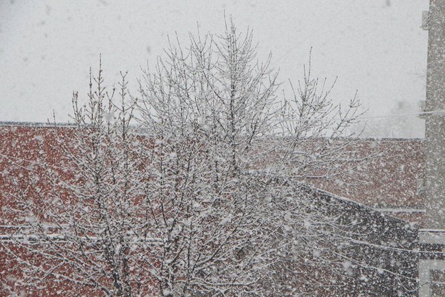Снегопад в Саратове. Болтухин советует «готовить лыжи»