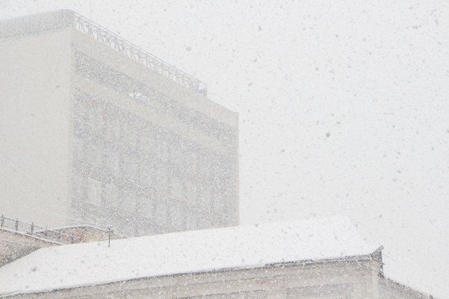 Снегопад в Саратове. Болтухин советует «готовить лыжи»