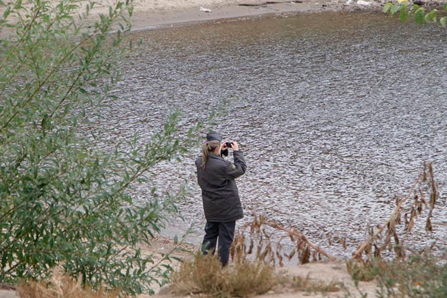 Под мостом Саратов-Энгельс ищут тело мужчины