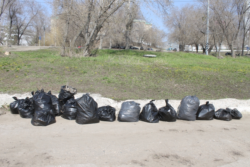 На «диком пляже» под мостом построят спортплощадку