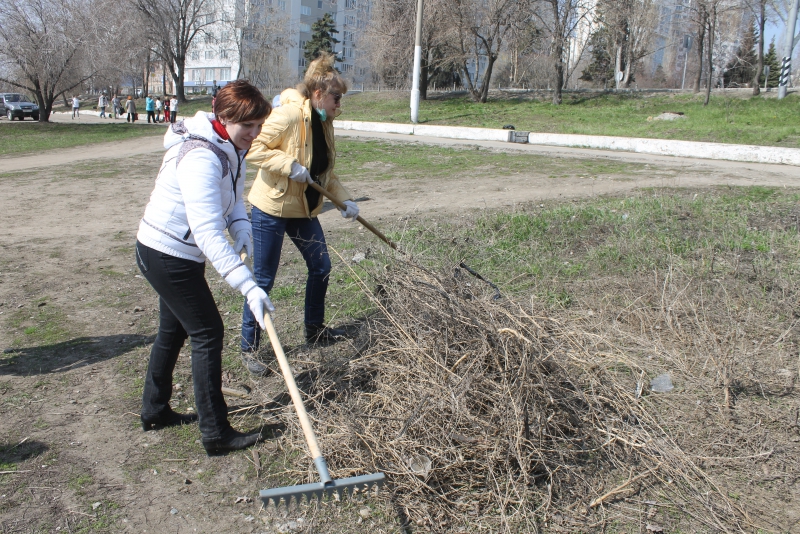 На «диком пляже» под мостом построят спортплощадку