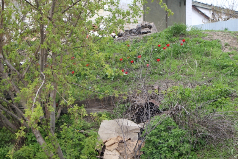 Пилипенко пообещал убрать свалки у железнодорожных путей