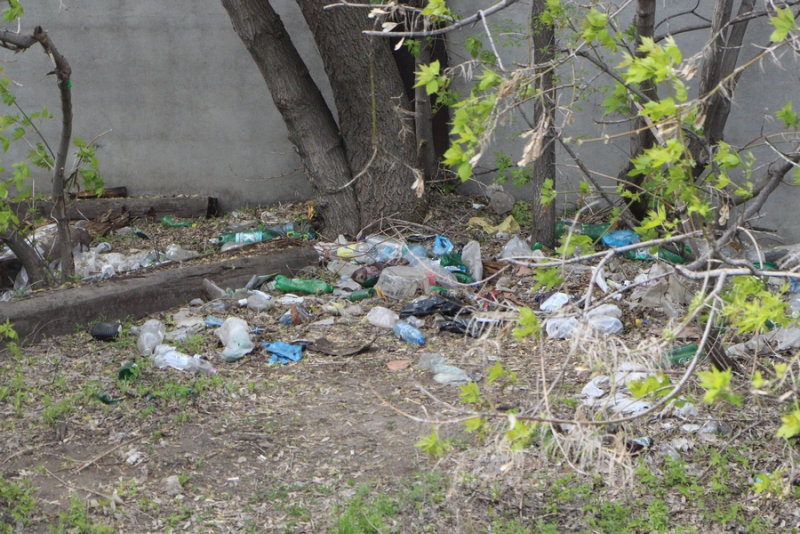 Пилипенко пообещал убрать свалки у железнодорожных путей