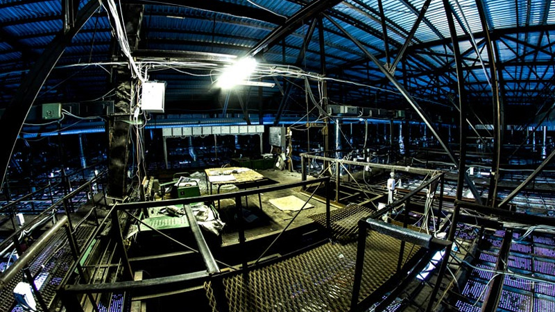 Блогер показал невидимую зрителям часть ЛДС «Кристалл»