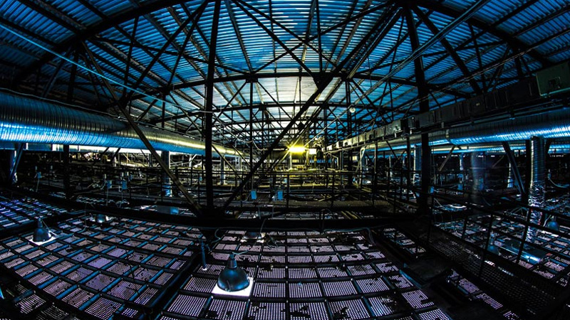 Блогер показал невидимую зрителям часть ЛДС «Кристалл»