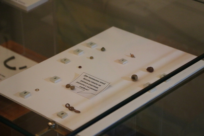 Археологи удивлены обилию древнерусских находок в Укеке