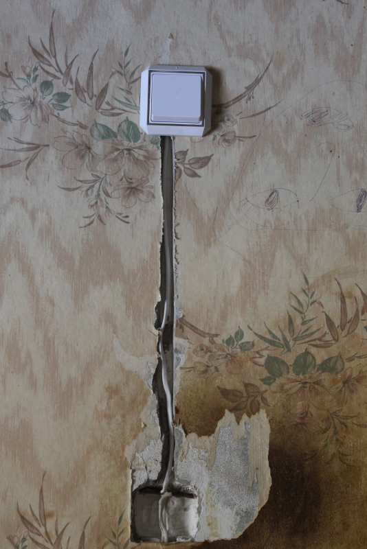 ОНФ: Чиновники в Красноармейске не выполнили обещаний перед инвалидом-колясочником